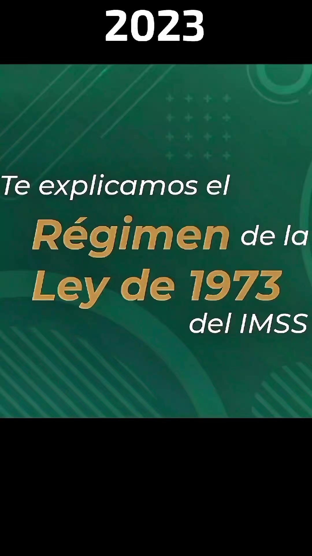 @CESAR SALDIVAR ASESOR