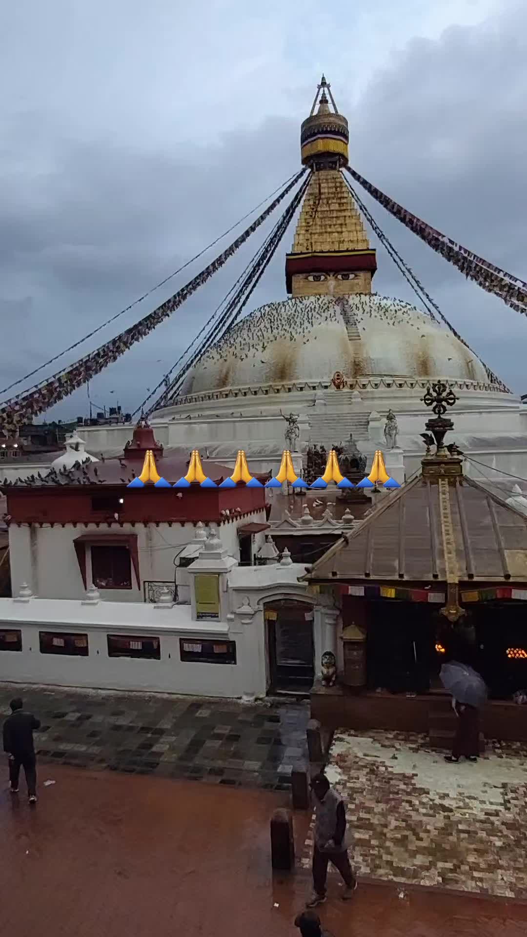 @Nima t lama 🇧🇪
