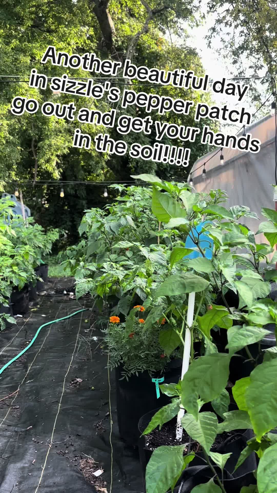 @Jdeaththepepperguy 🌶️AGX🌶️🌱