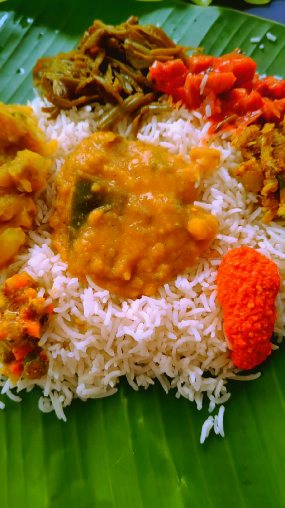 @Siyaa Dhaara