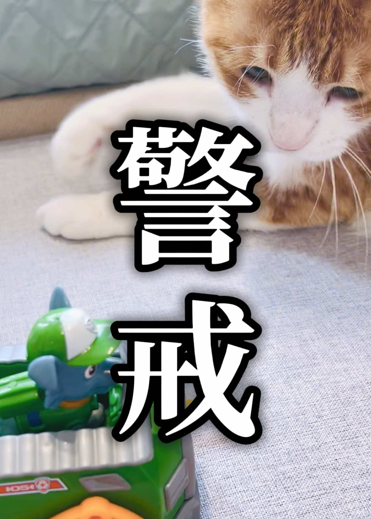 @みーこchannel