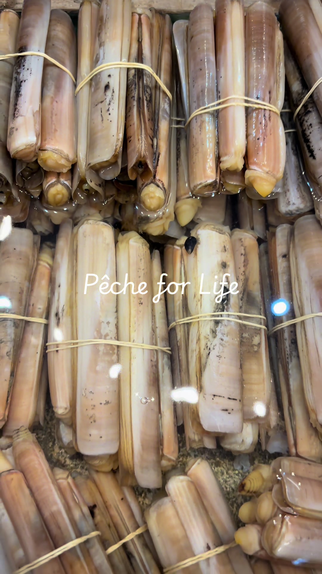@P&ecirc;che for Life