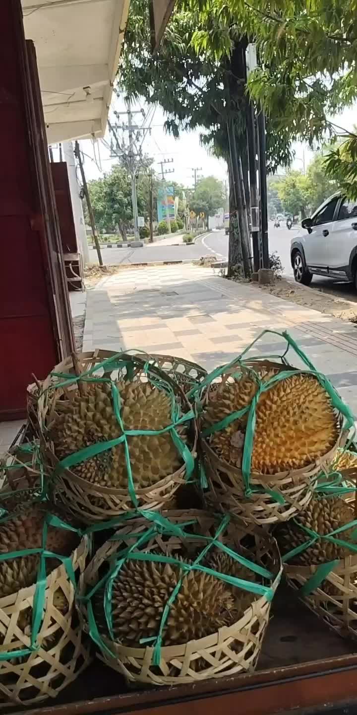 @Kenzhi Durian Tuban