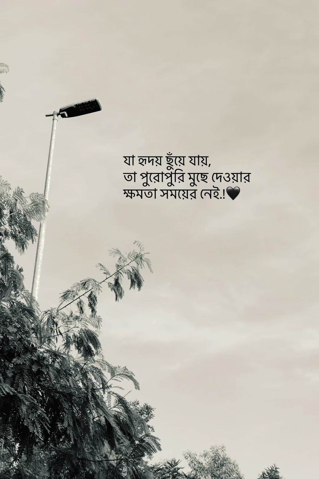 @आईएएन ┊🐥