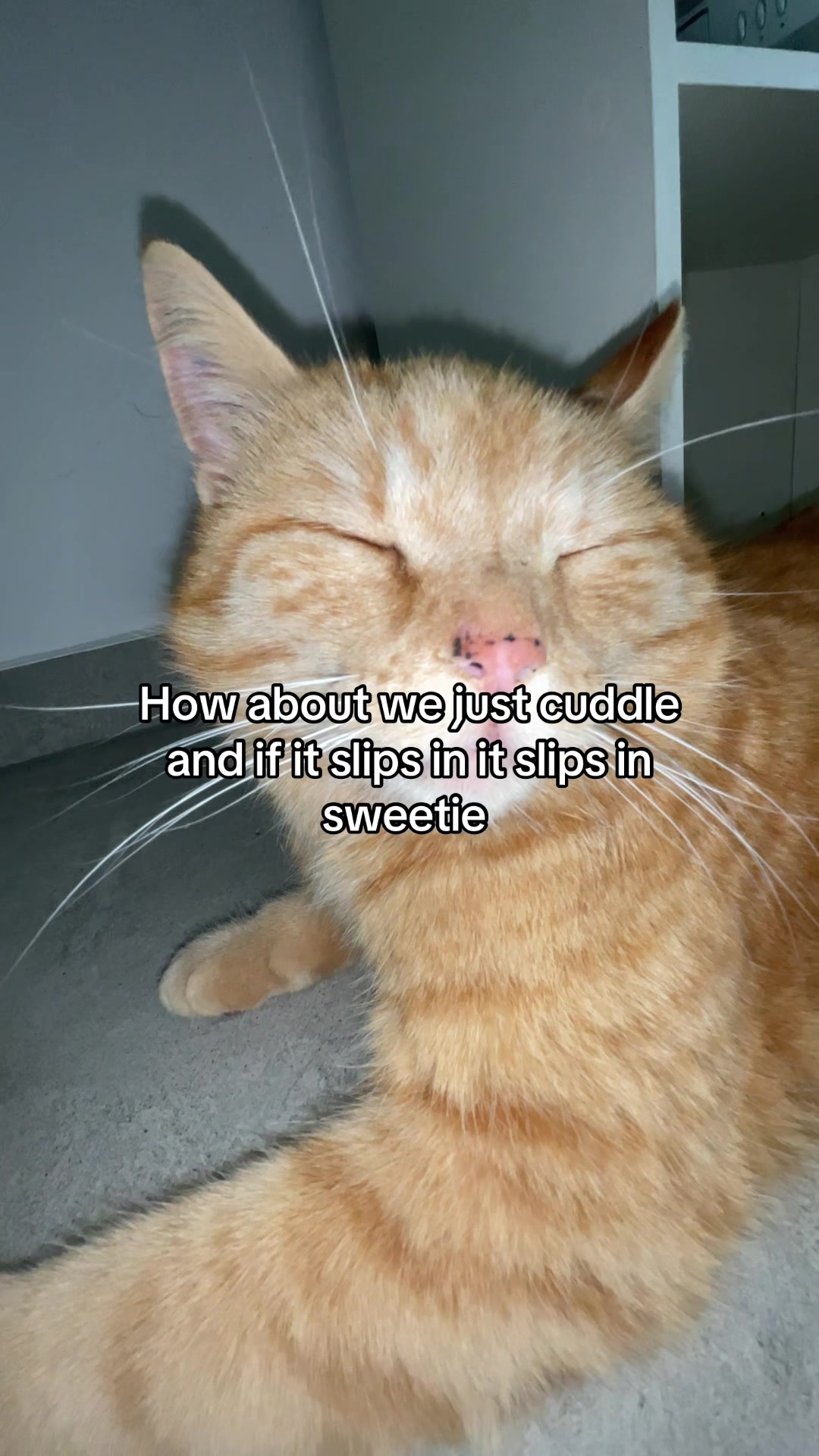 @Simba