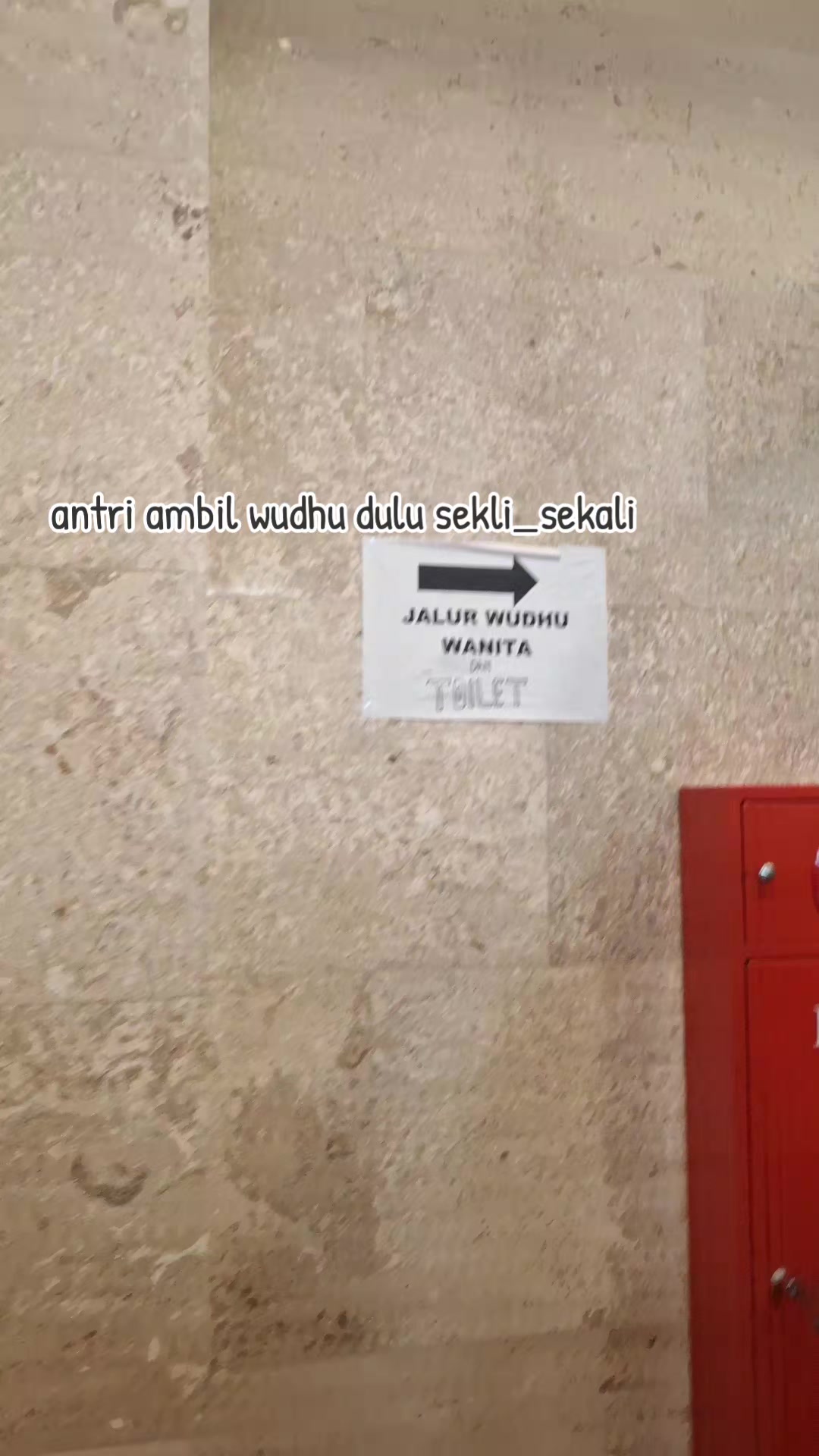 @Elas