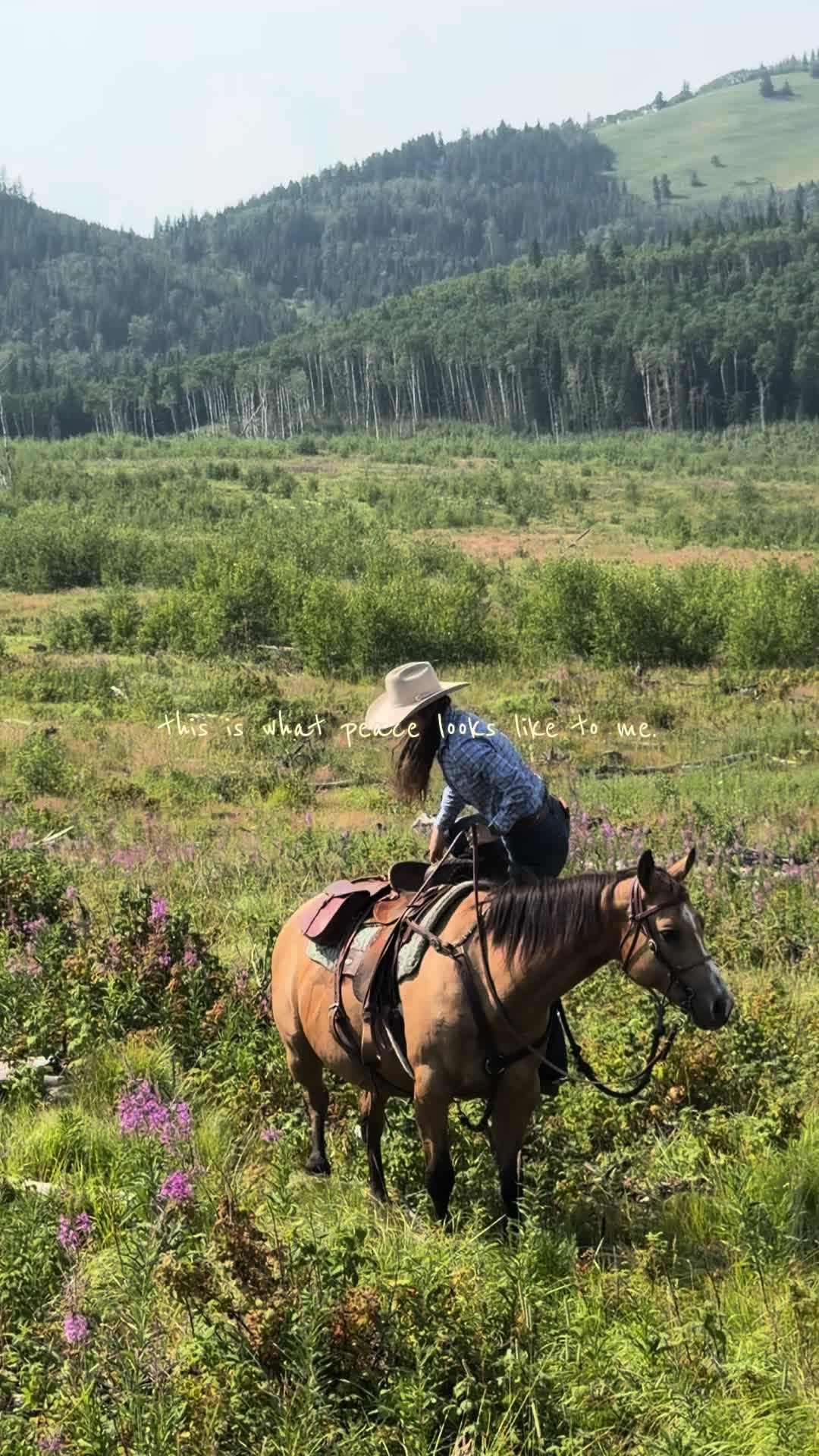 @Ranch Riders