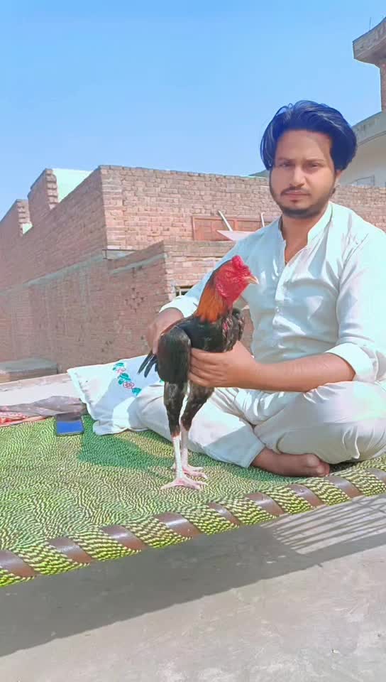 @Royal birds