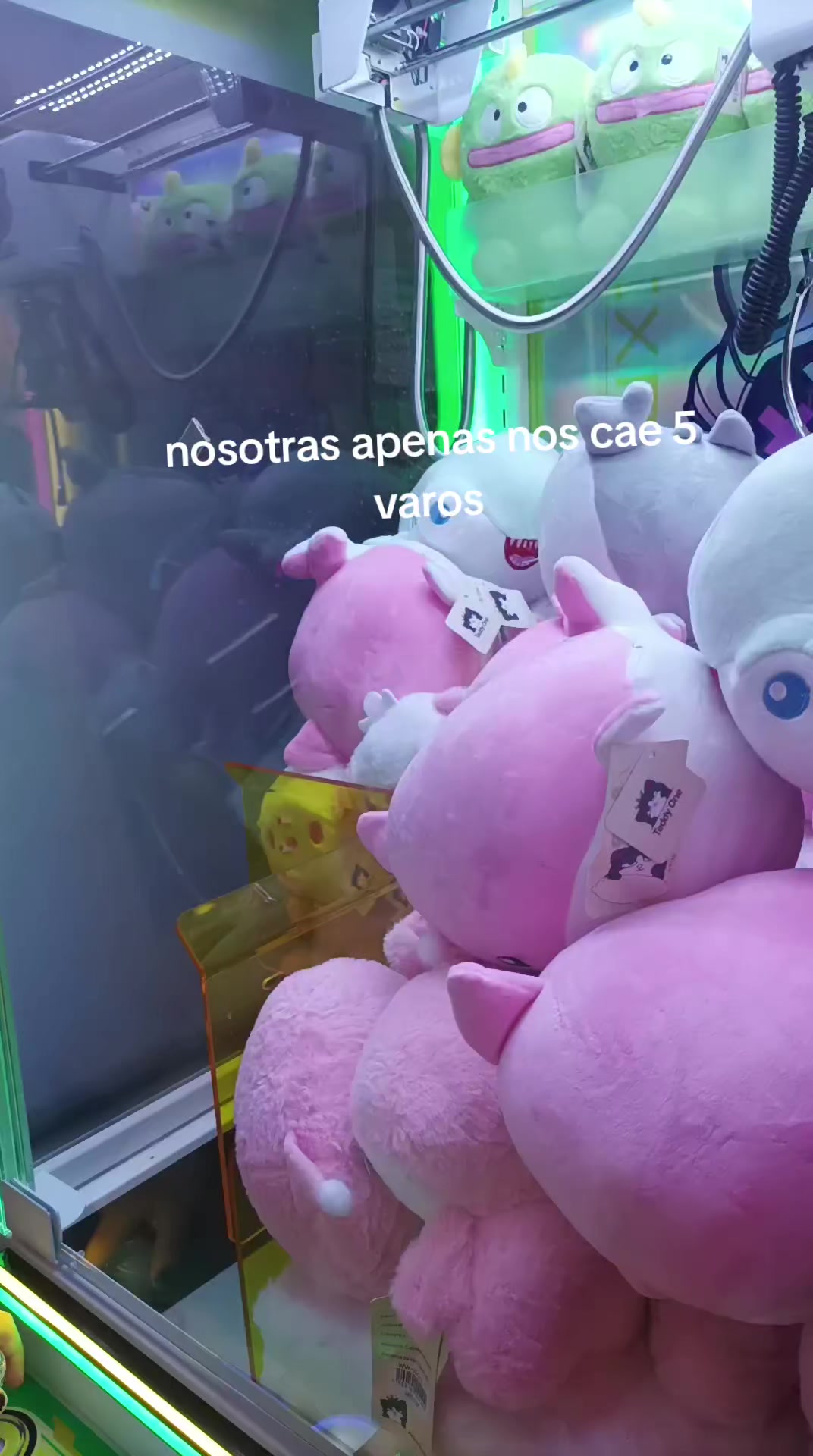 @noxt_.fott