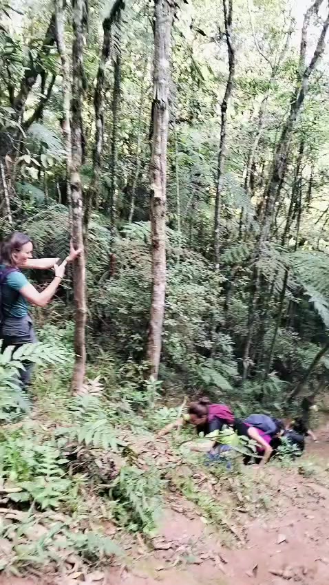 @Trilhas_a_combinar