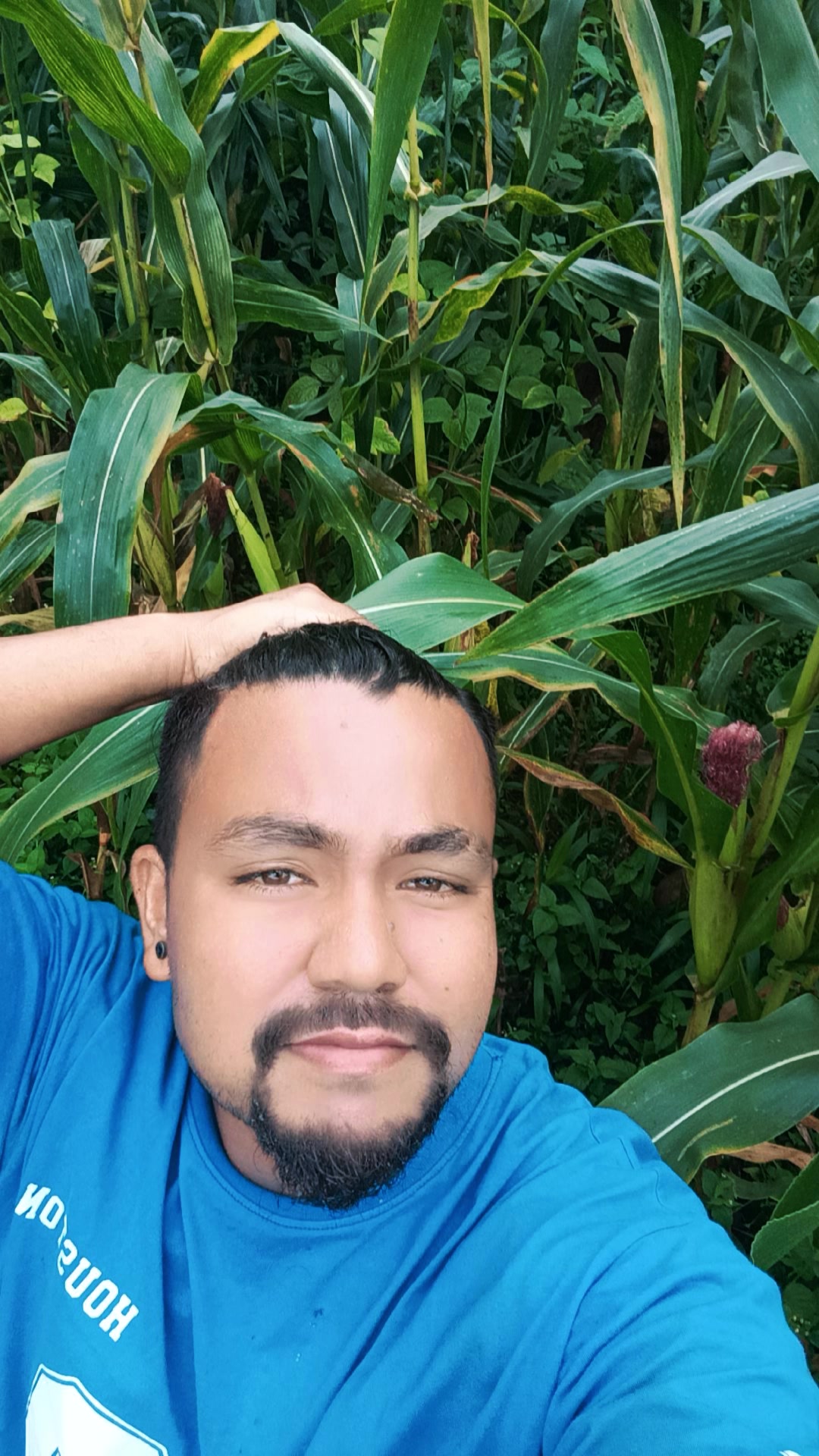 @Arayan Singh thakuri