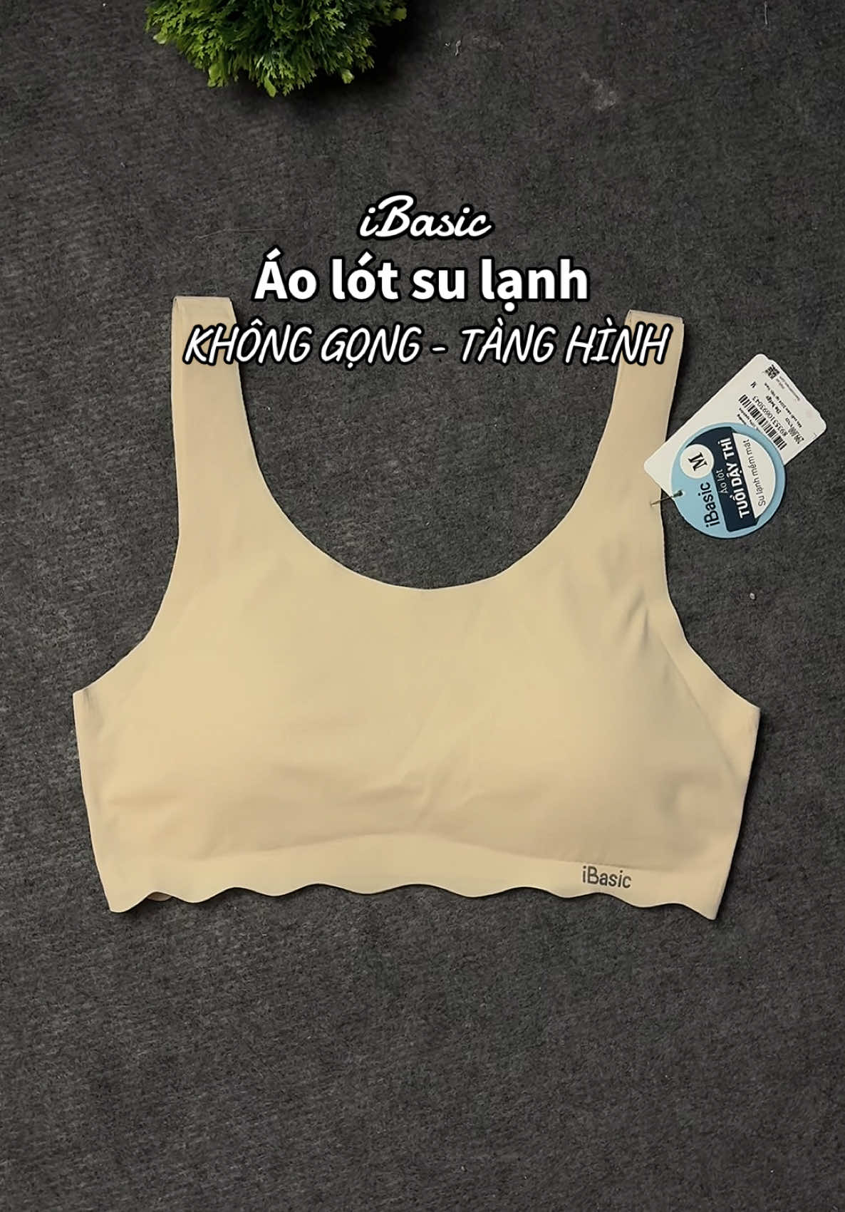 @lexinhne
