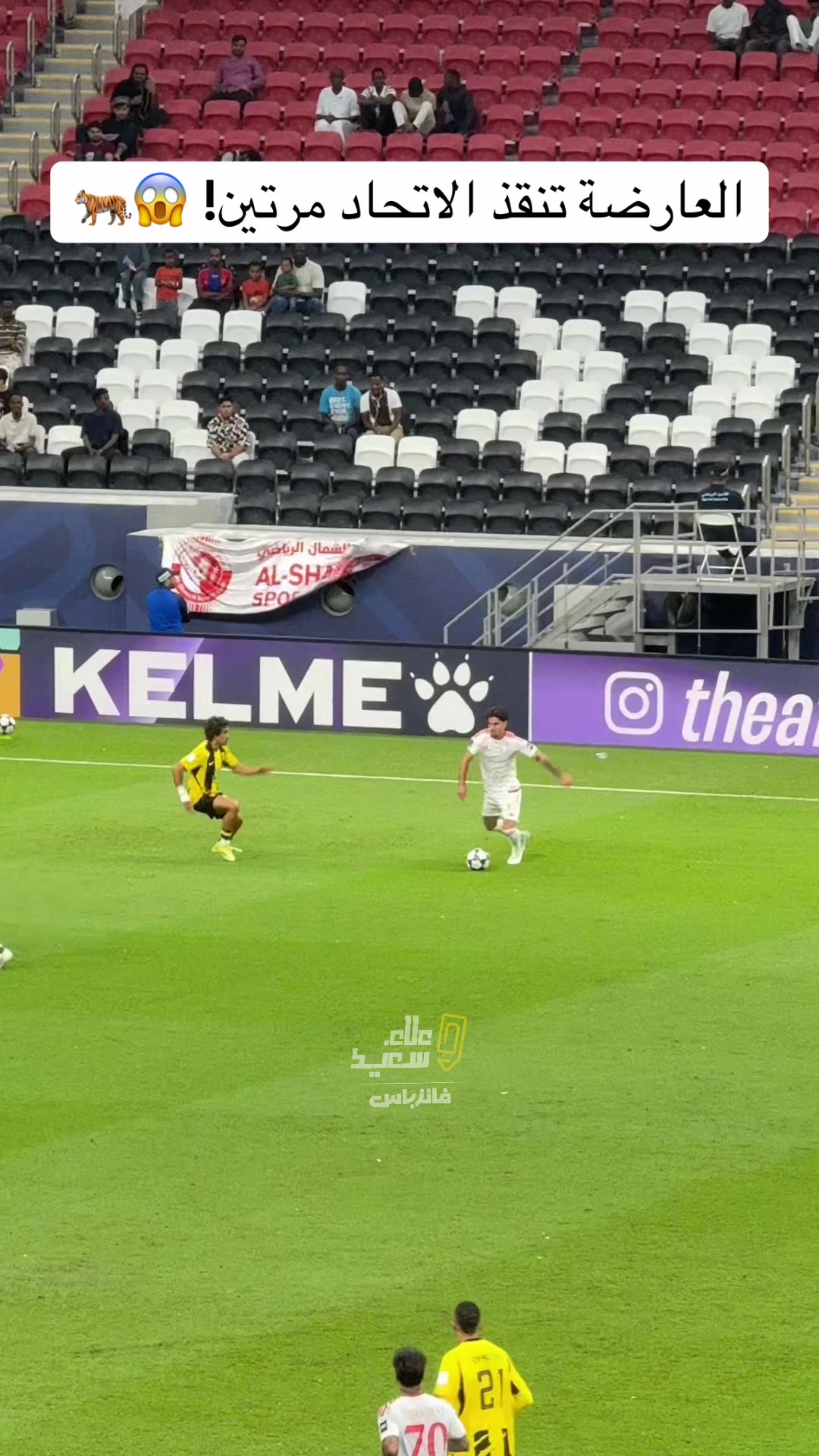 @علاء سعيد