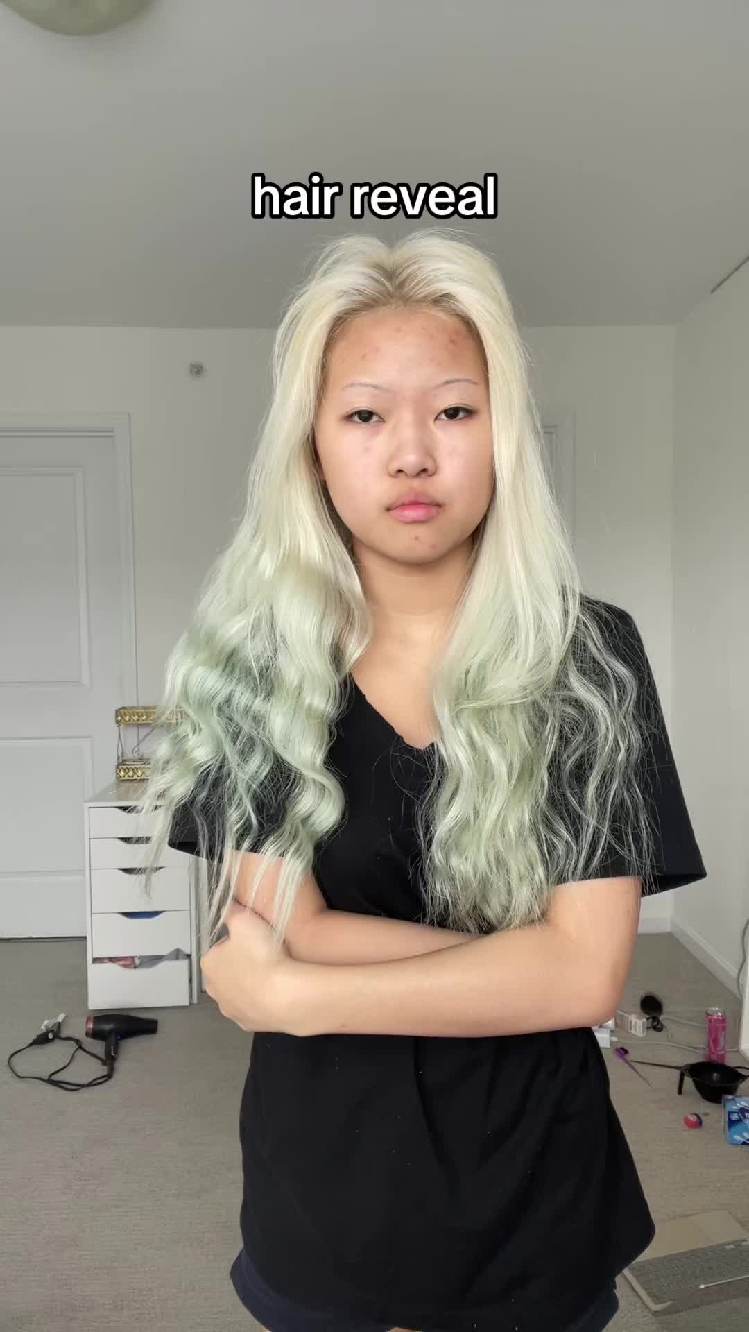 @chia.chihuahua1