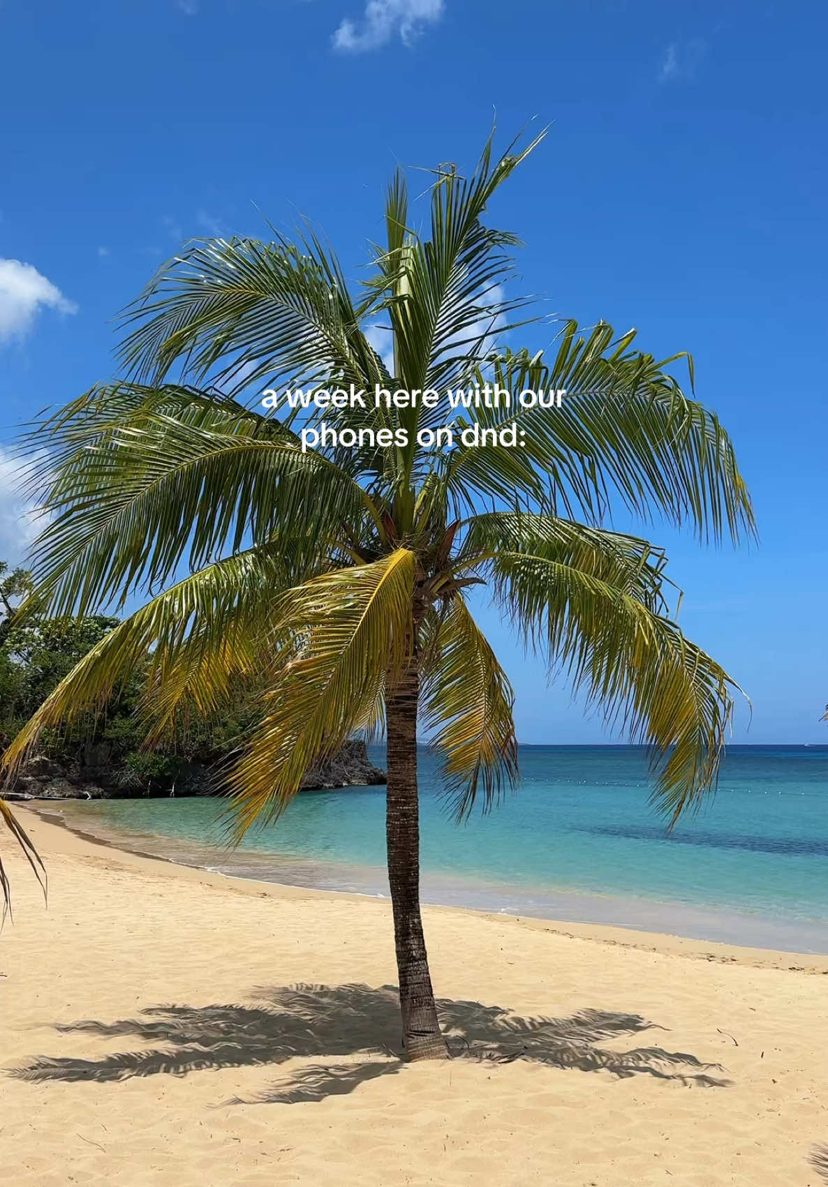 @Justin 🇯🇲