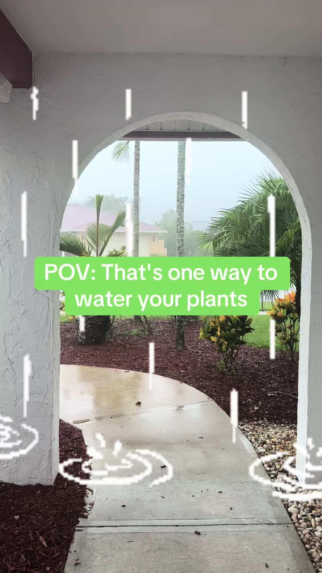 @floridadarcye9