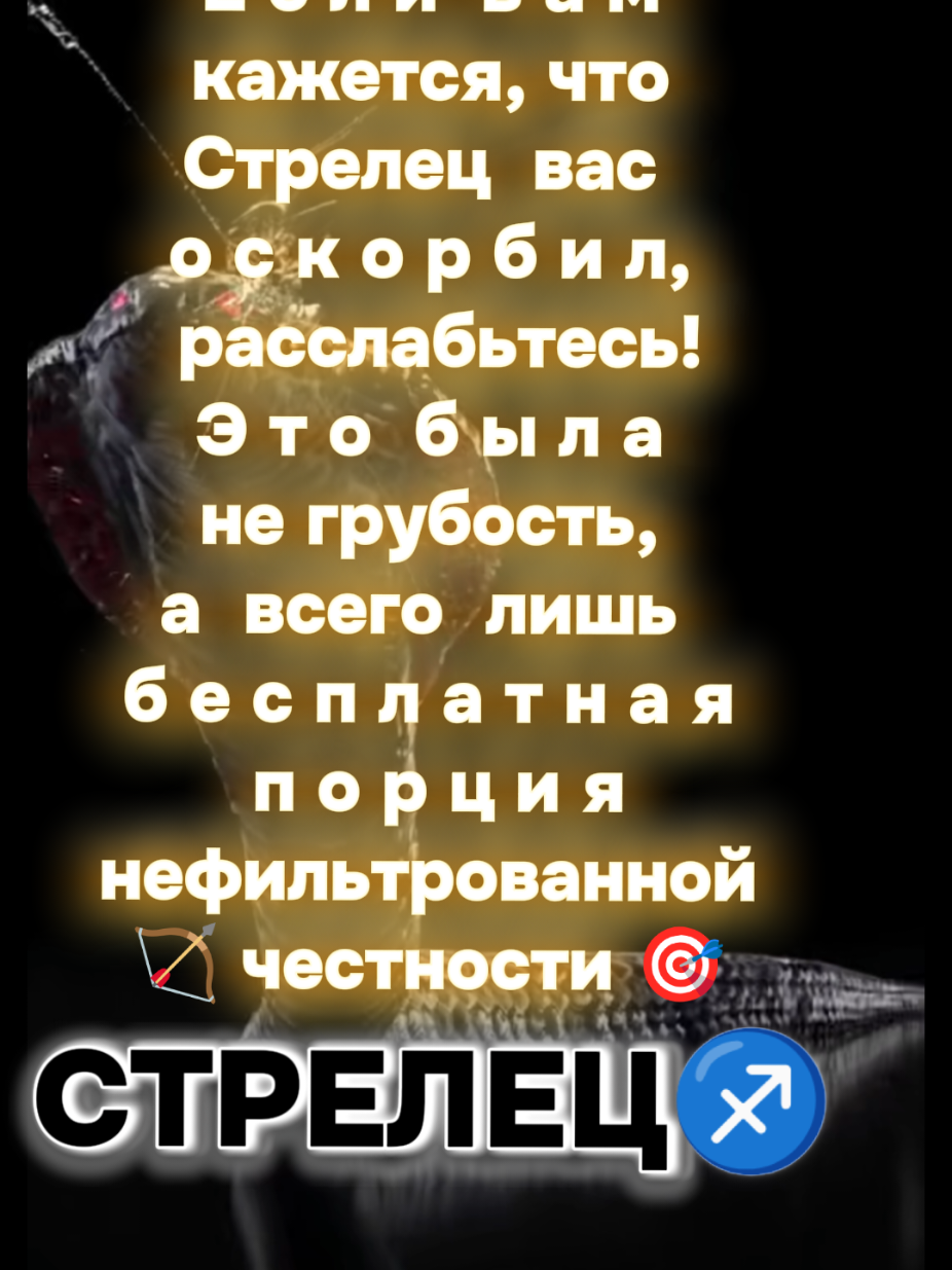 @꧁༒𝙎𝙡𝙖𝙫𝙮𝙖𝙣𝙤𝙘𝙝𝙠𝙖༒꧂