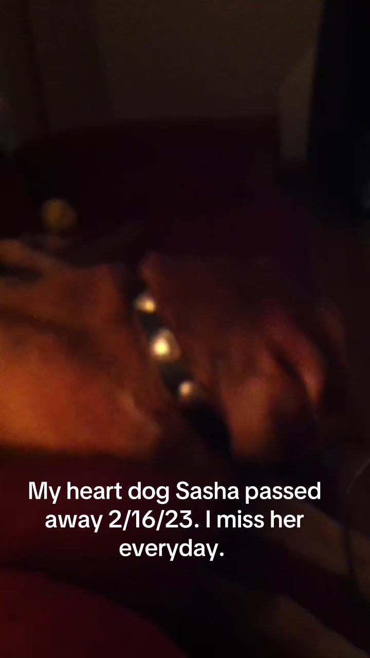 @ciaravalentine509