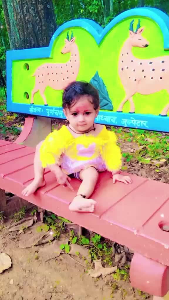@anil Prasad Yadav