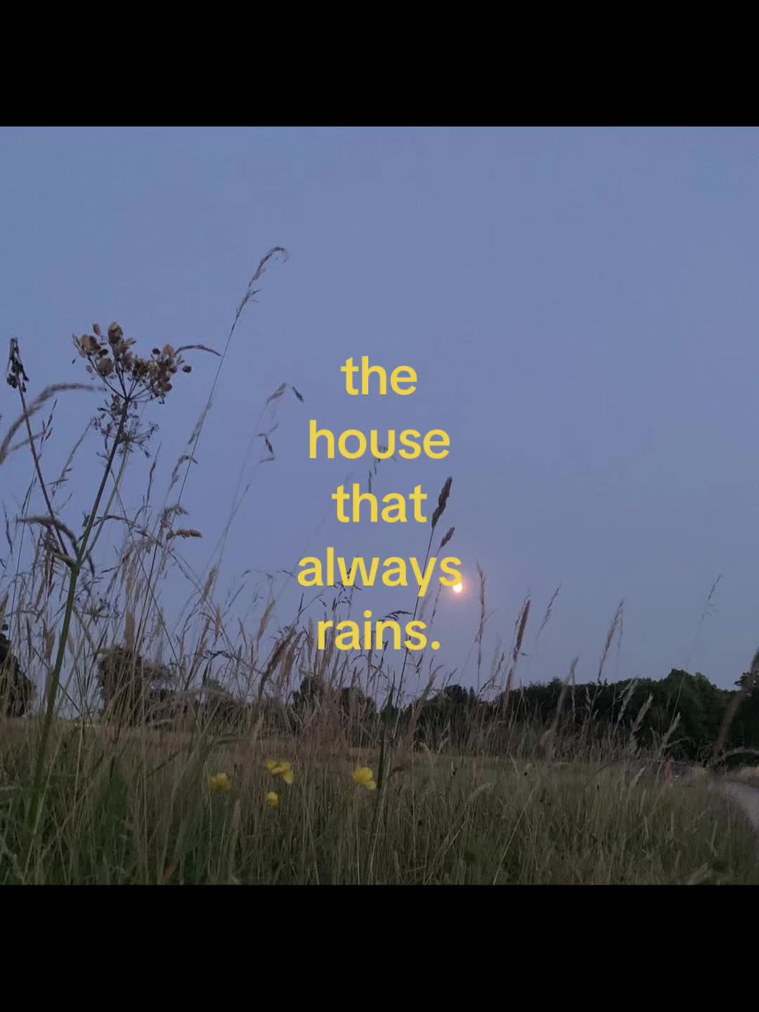 @Daveigh
