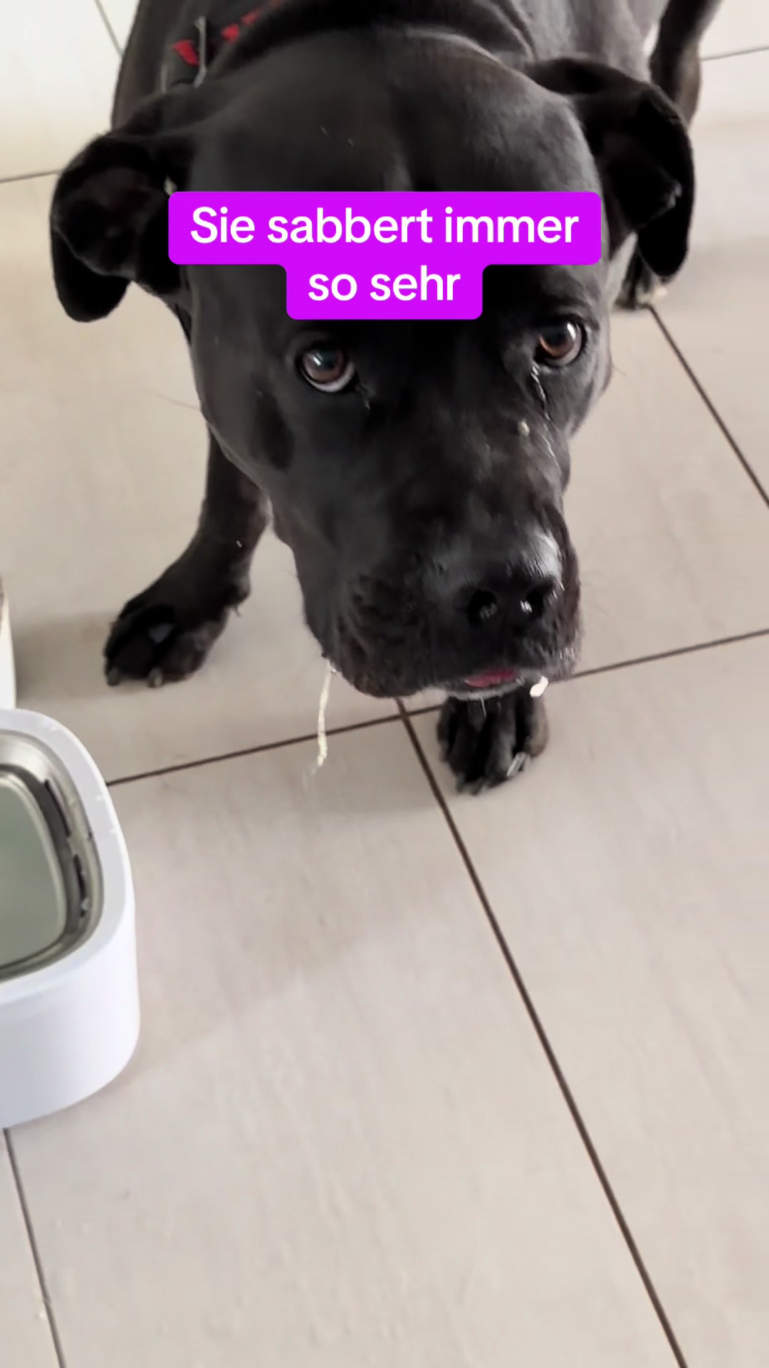 @Braunici