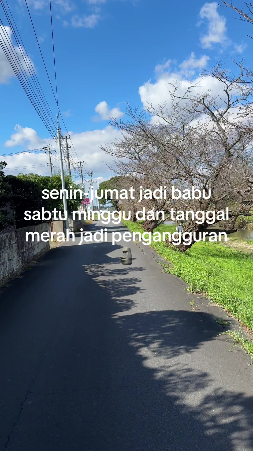 @pistacio 17