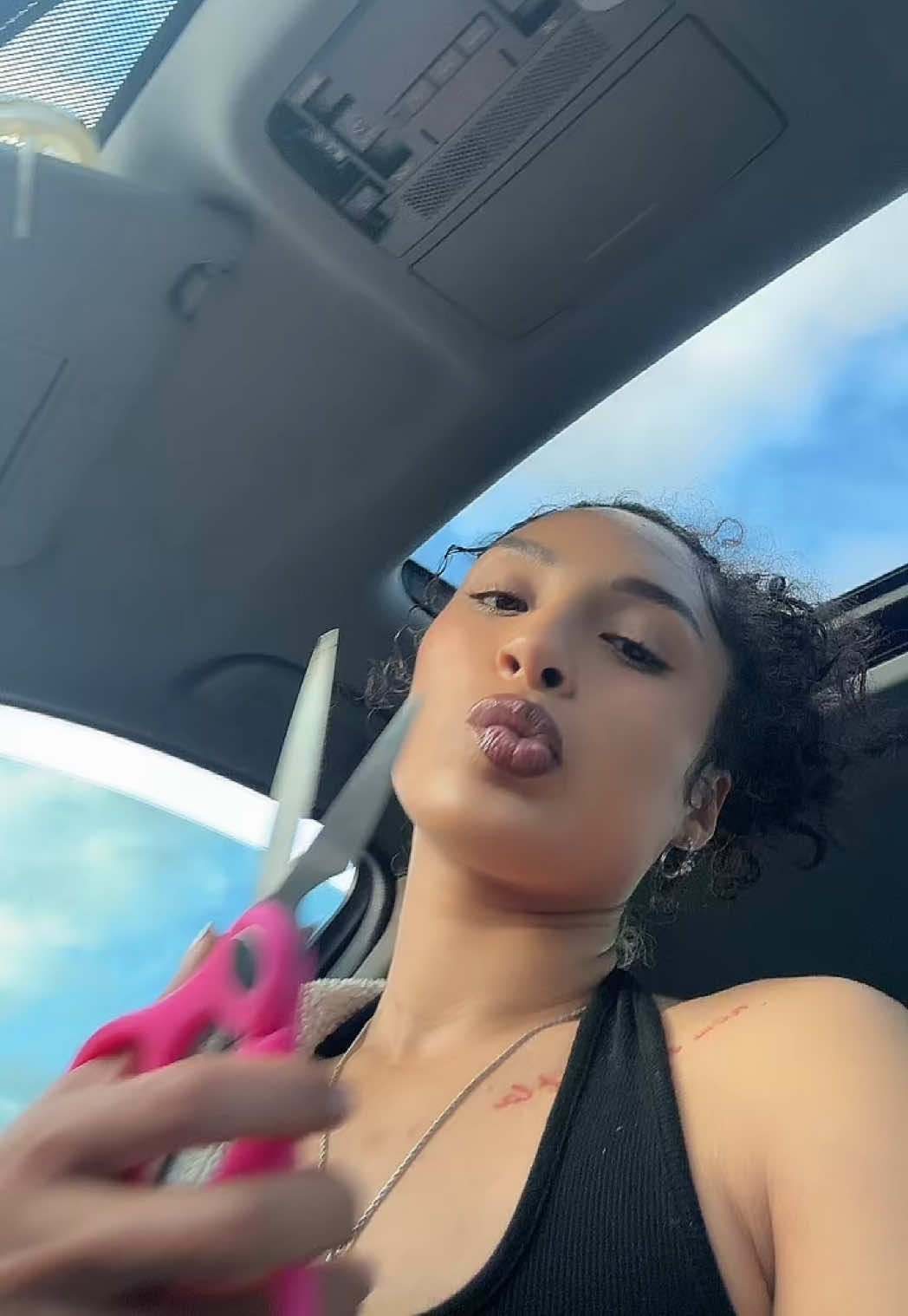 @shairenee
