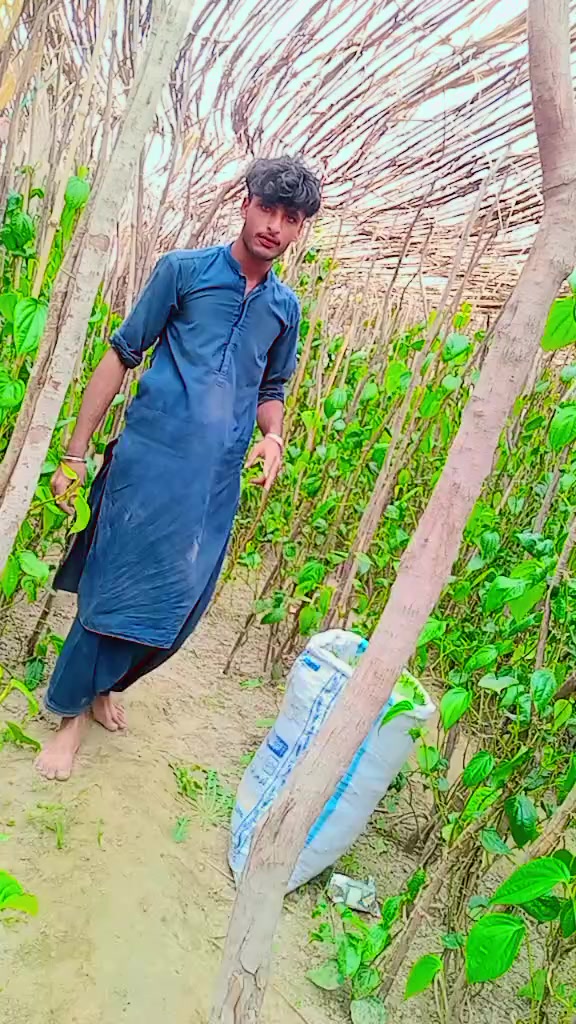 @mashooq Ali katyar