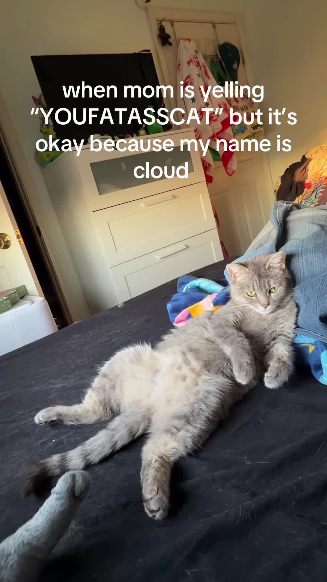 @𝖊𝖛𝖎𝖊🪸