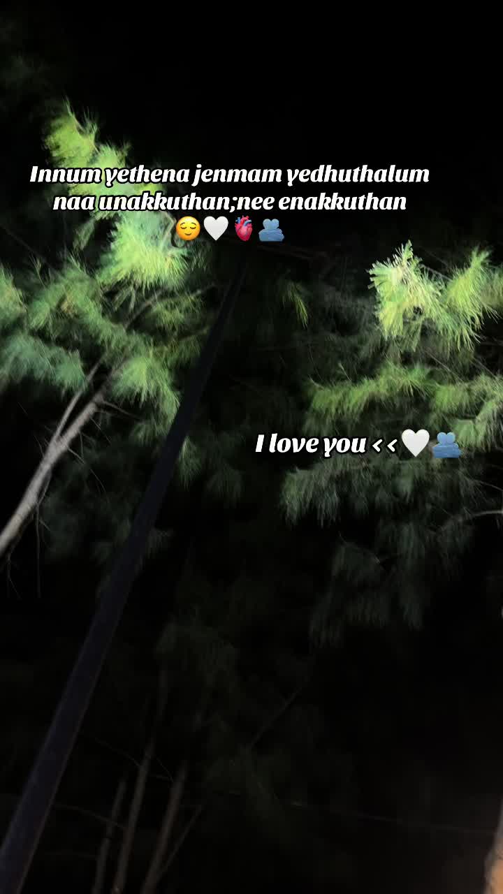 @S T I T C H _ B G M 🖤