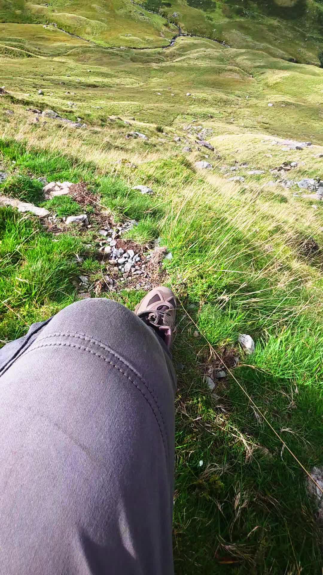 @Northern Wayfarer