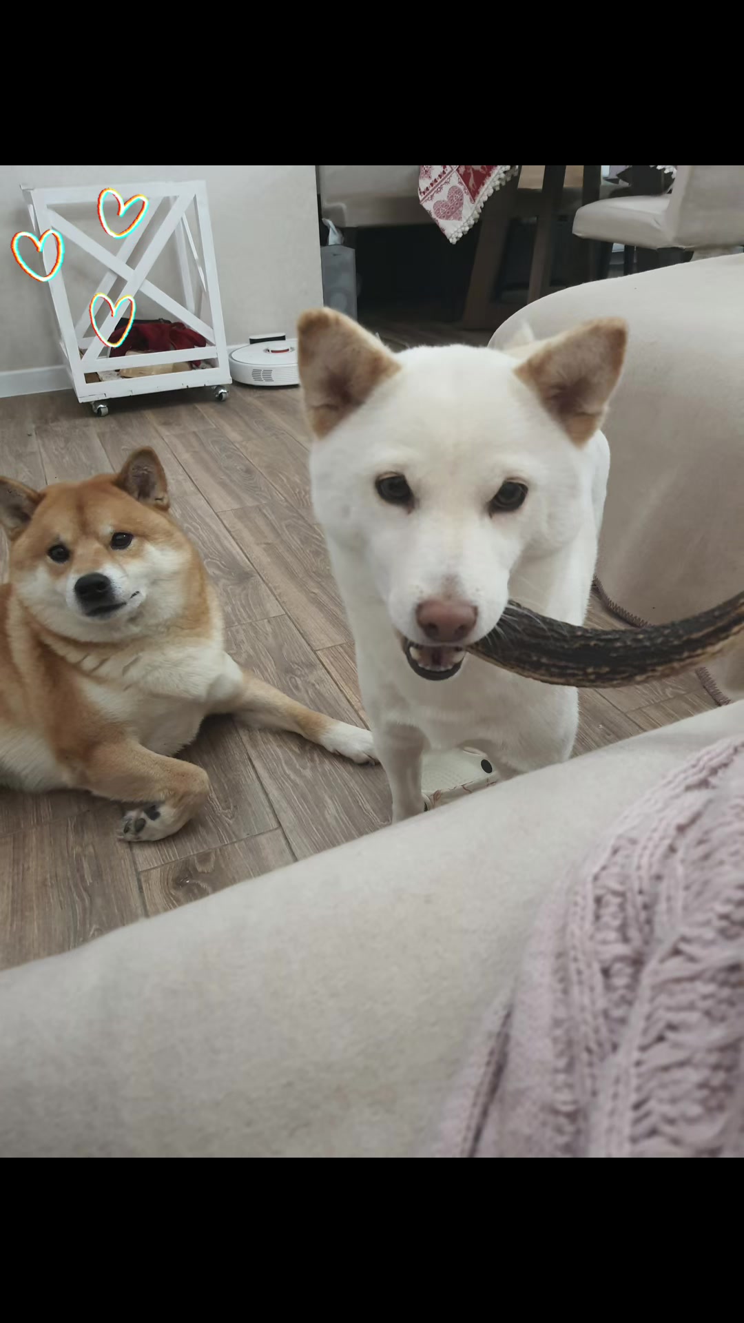 @Akihiro & Yuki