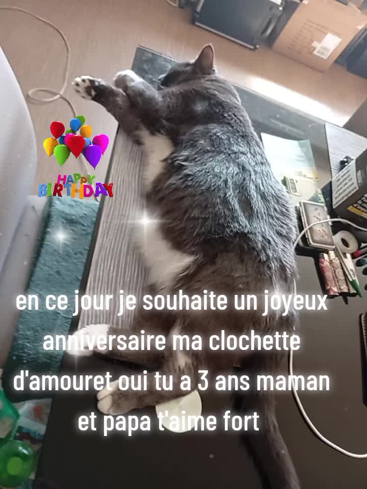 @🌟 MARIE LA QUEEN 🌟