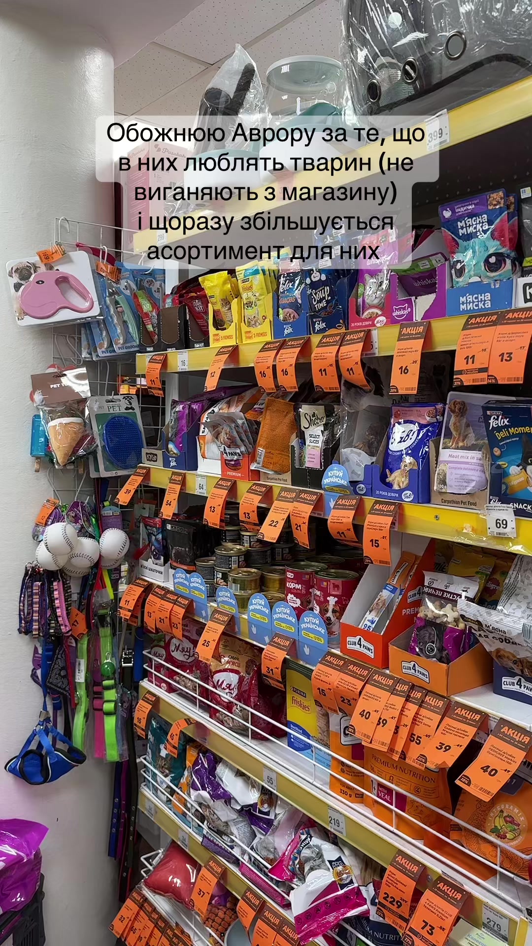 @Пружинка🎀