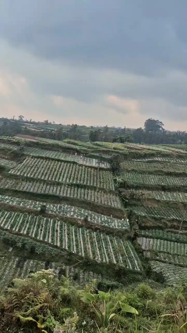 @Sentir_nurbali.com