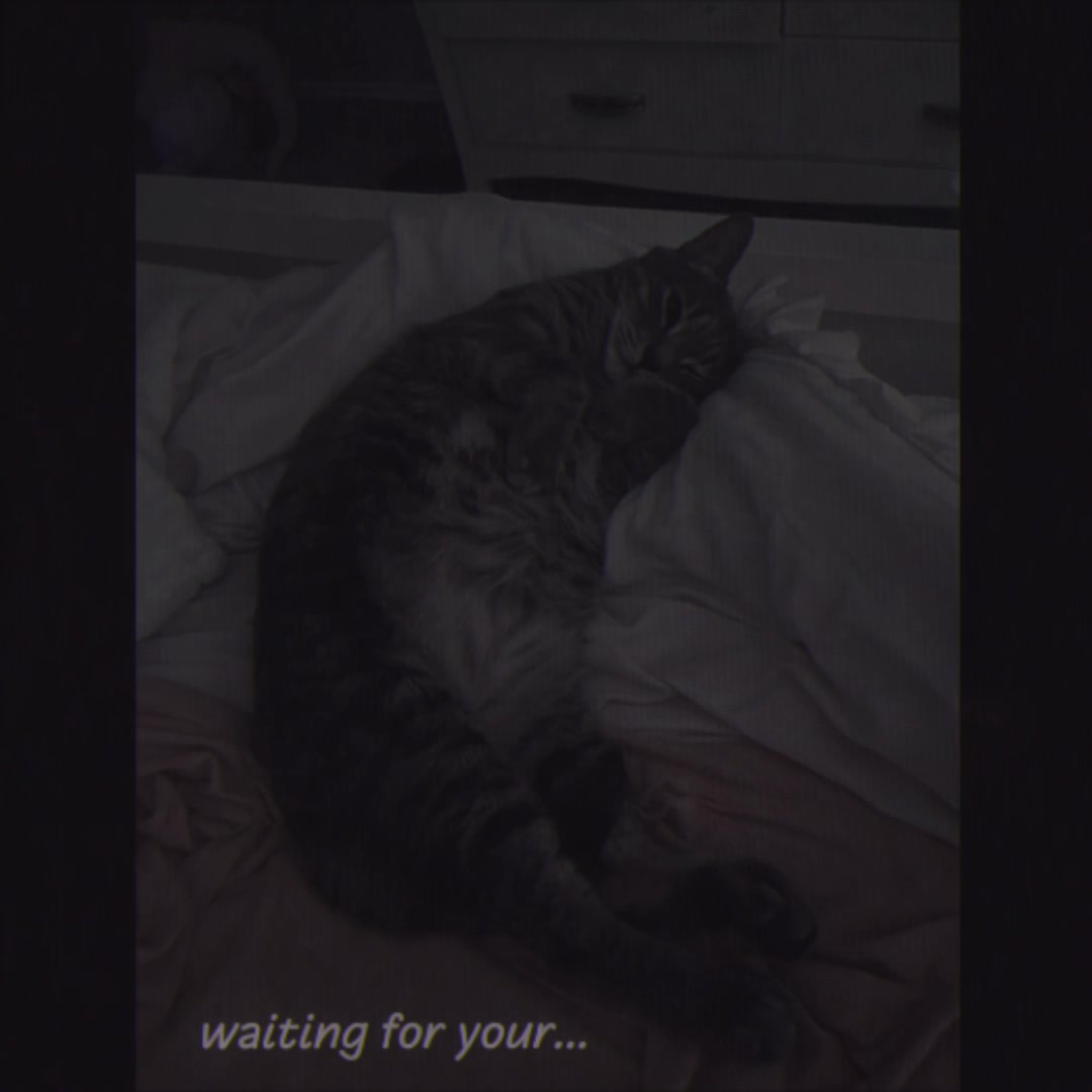 @fallyn