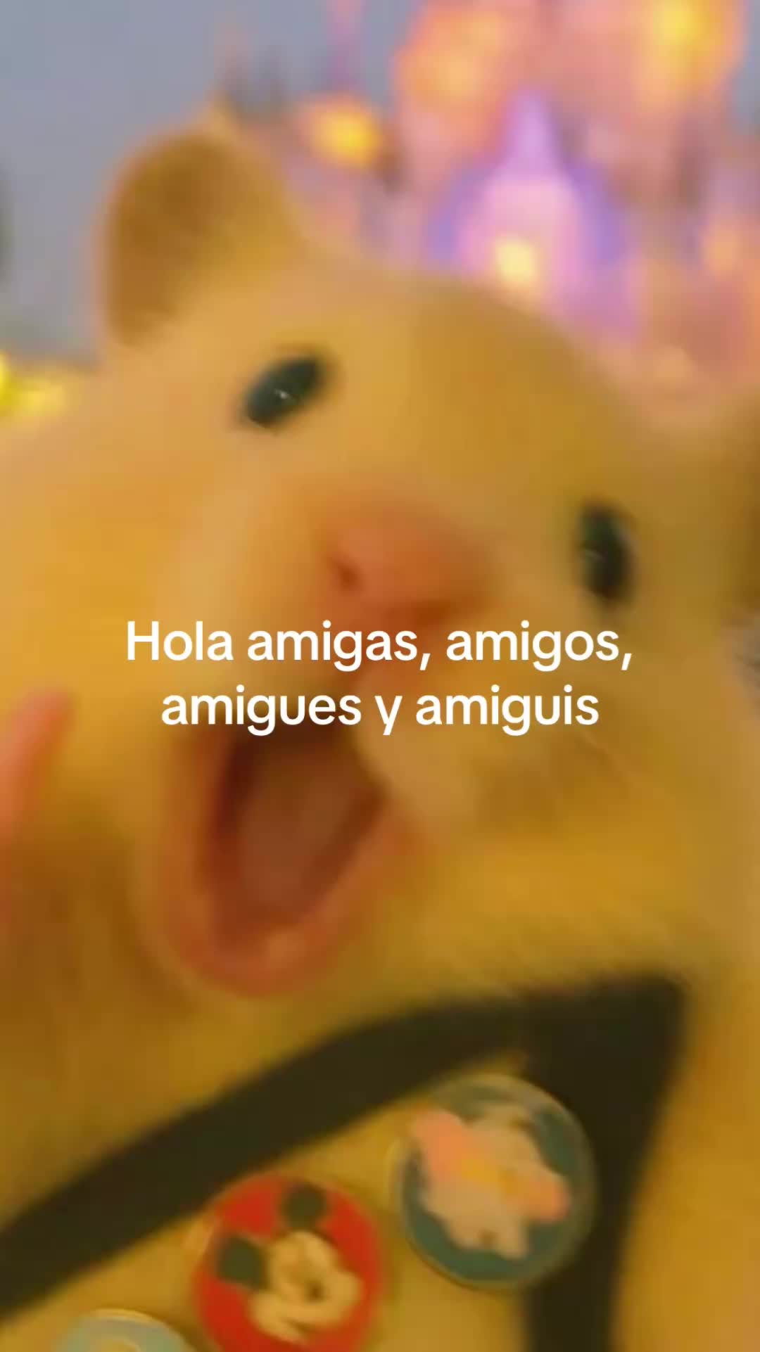 @enaMORATos 🤍🖤