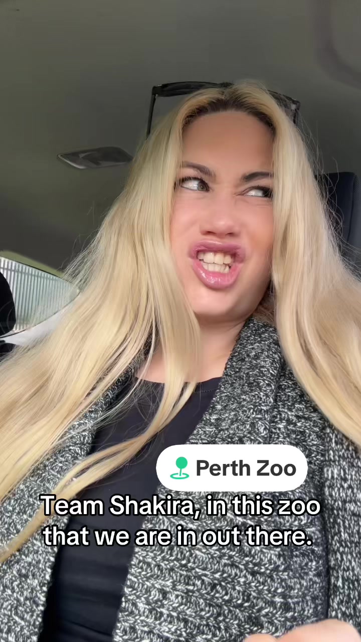 @Dani B