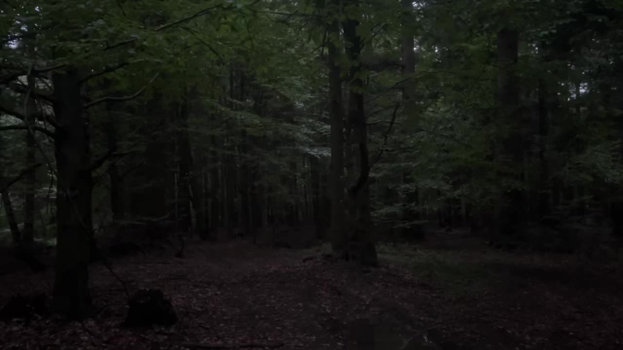 @🌲1𝔰𝔥𝔢𝔱𝔰1🌲