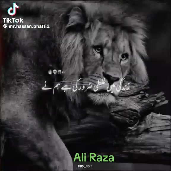 @AliRaza Awan