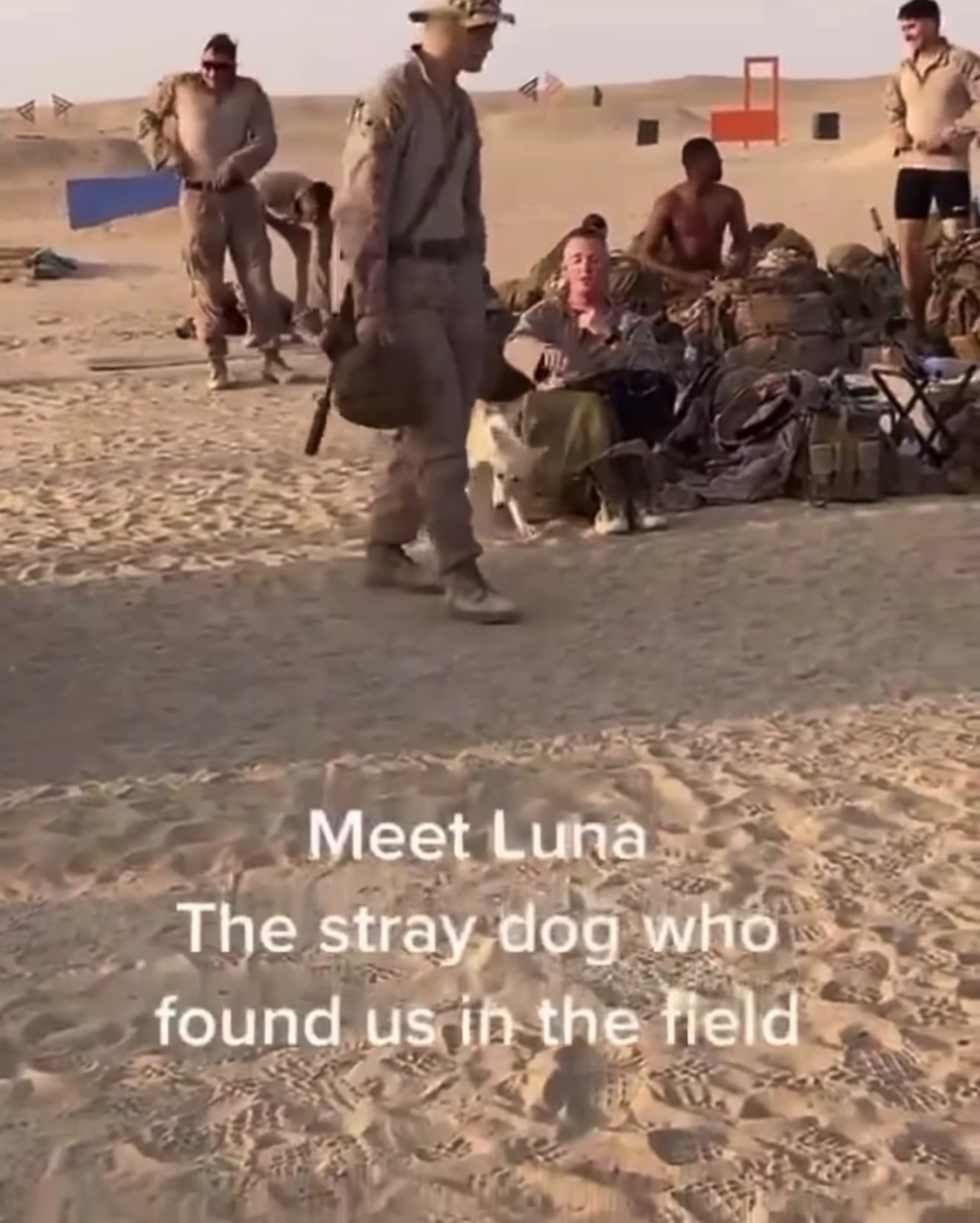 @SoCalDevil0311