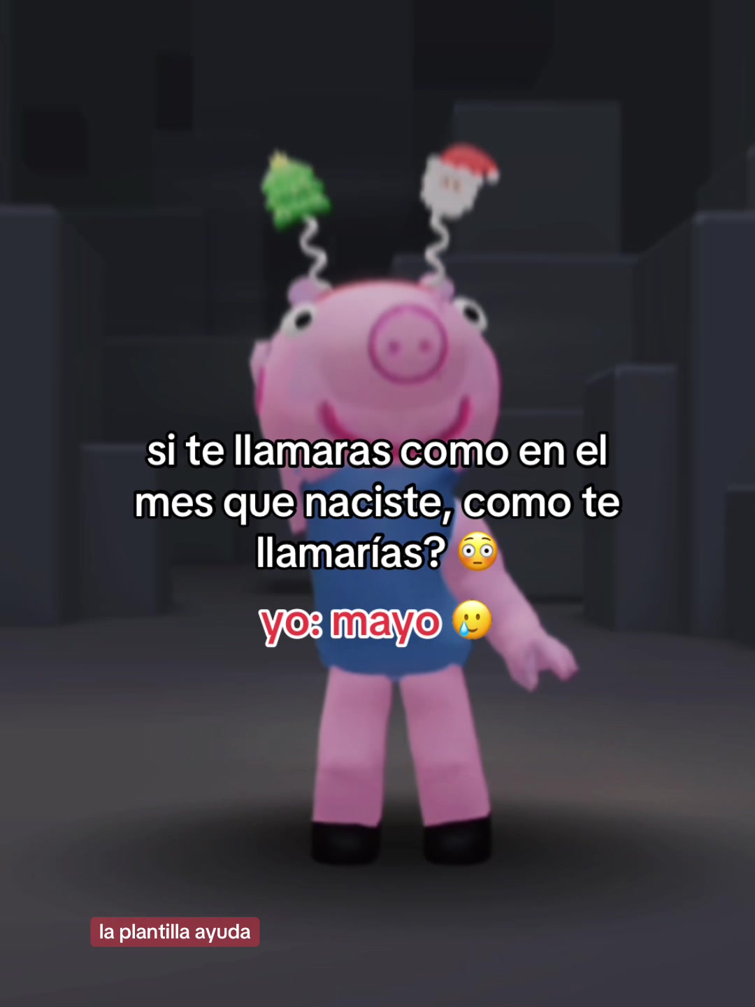 @kittxnico