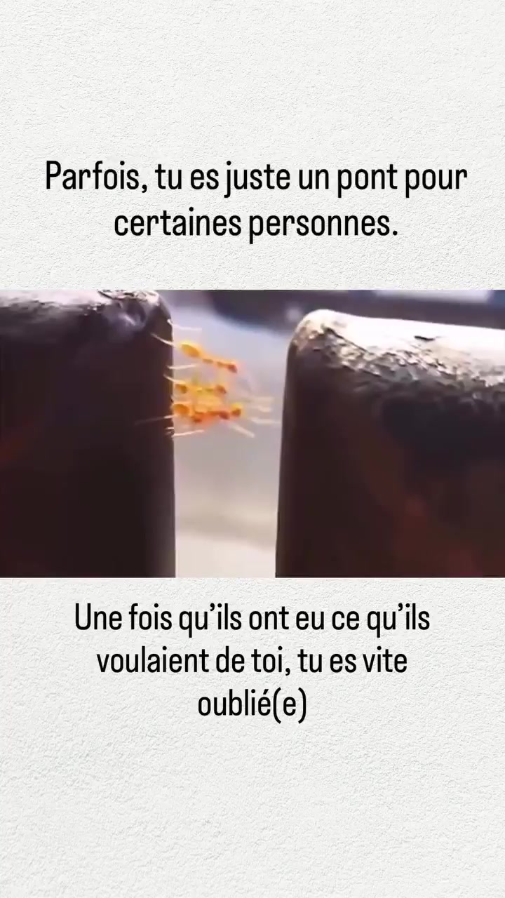 @Heritier - Le Grand Fr&egrave;re