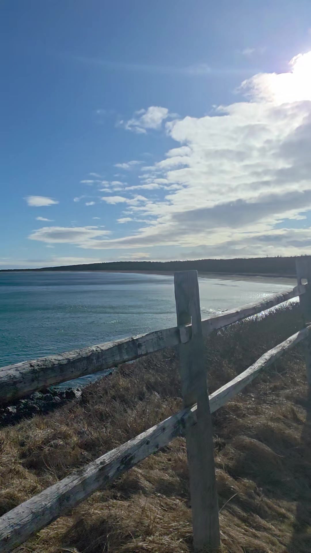 @Cape Breton Chick 🇨🇦