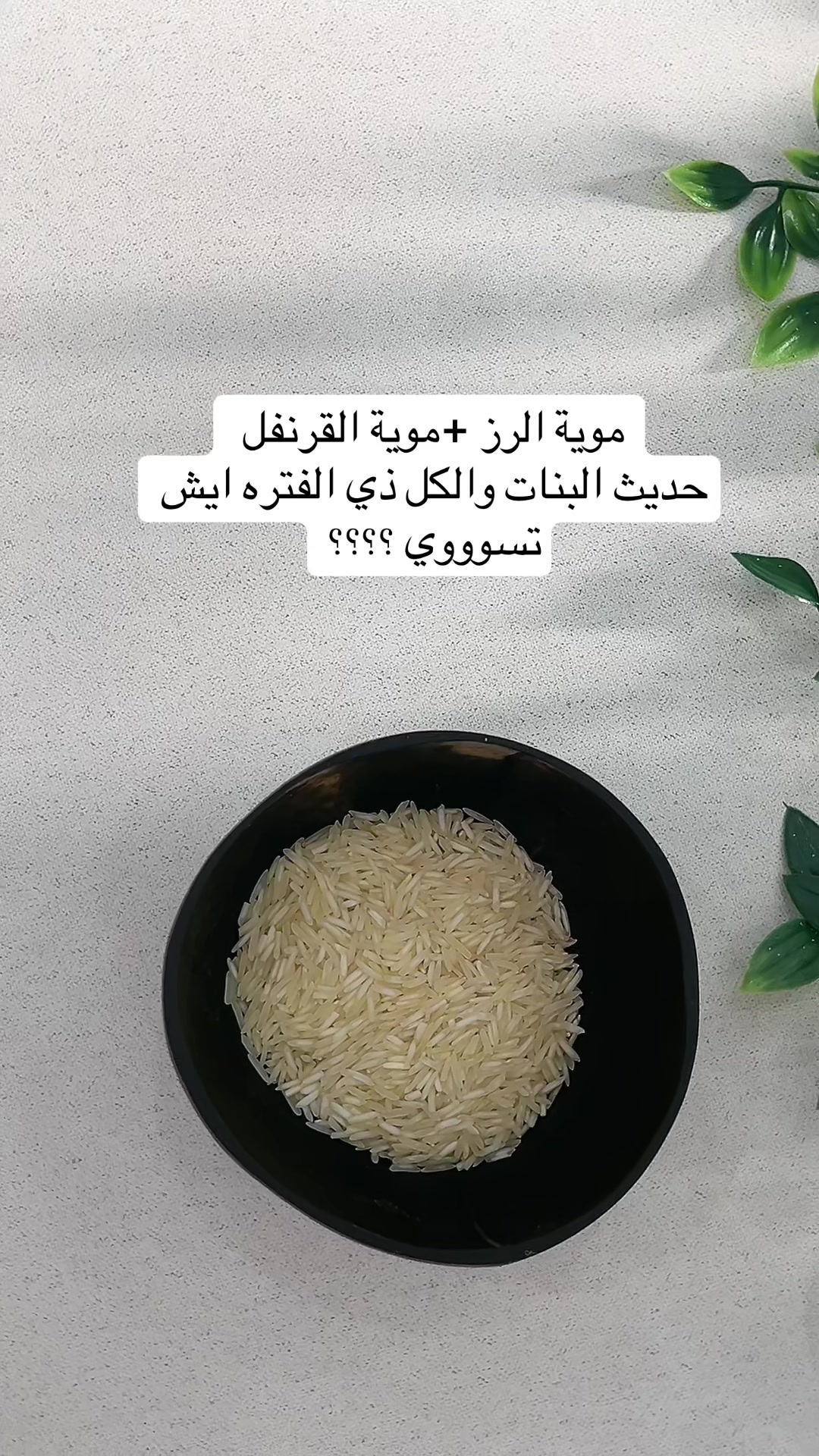 @فراشه 🦋