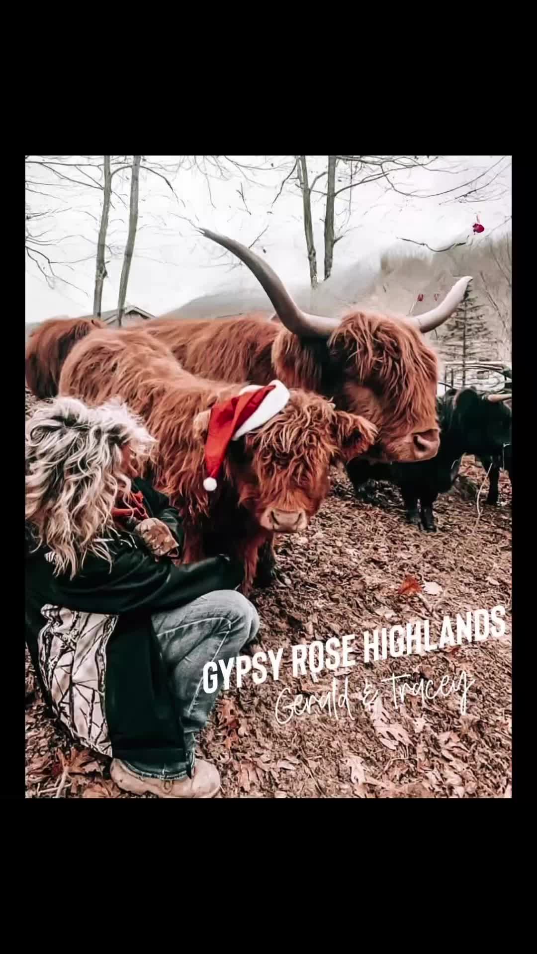 @Gypsy Rose Farm, LLC