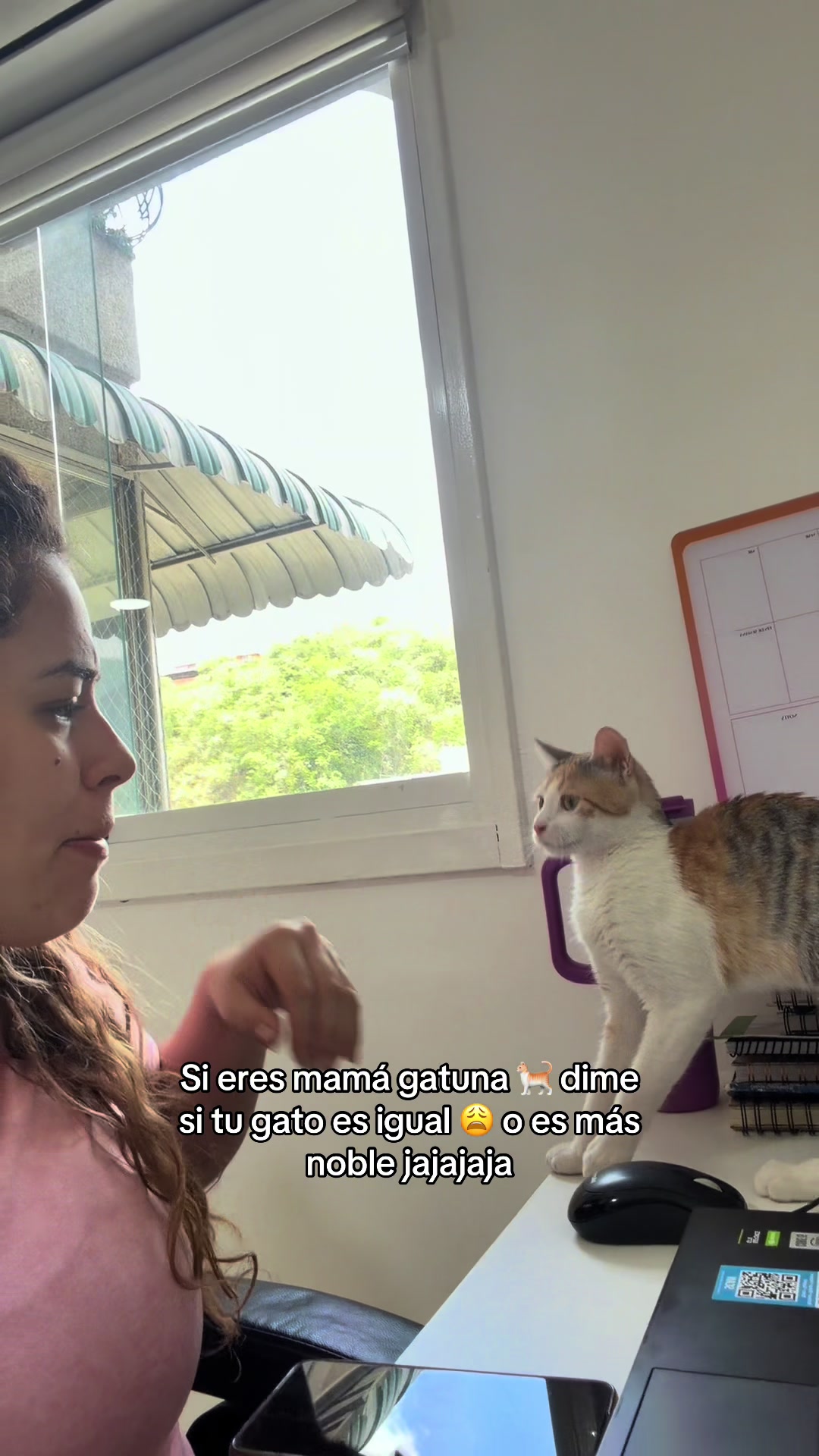 @Gleidy Rojas ✨