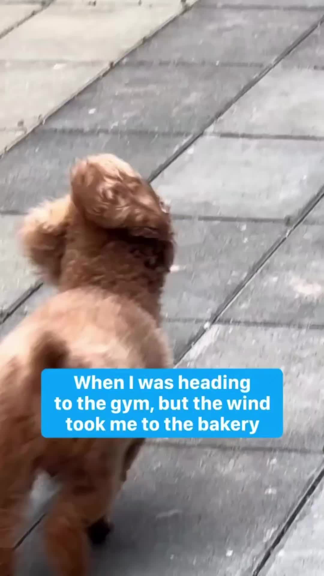 @✟𝛕🜋