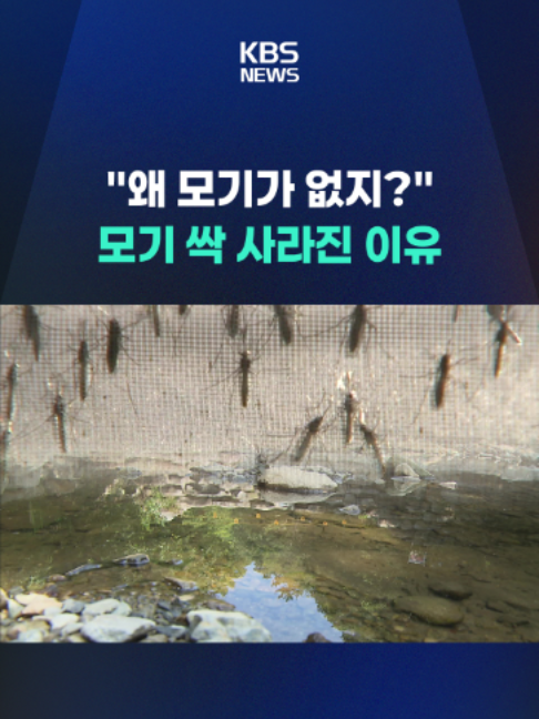 @KBSNEWS