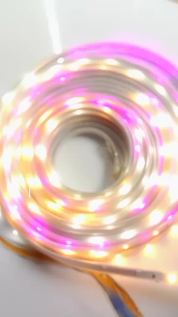 @Jelitaelectroshop